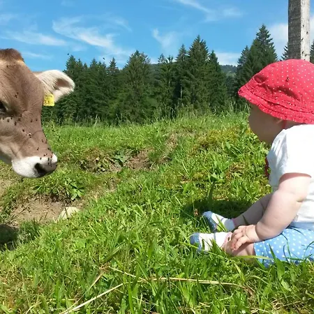 Alojamento de Acomodação e Pequeno-almoço Duerlinde 3*