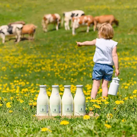 Alojamento de Acomodação e Pequeno-almoço Duerlinde Hittisau