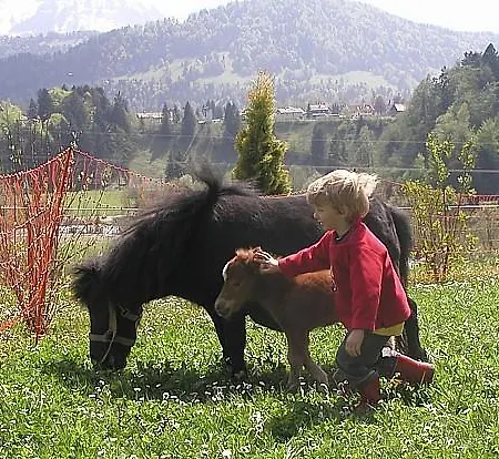 Duerlinde 3* Hittisau