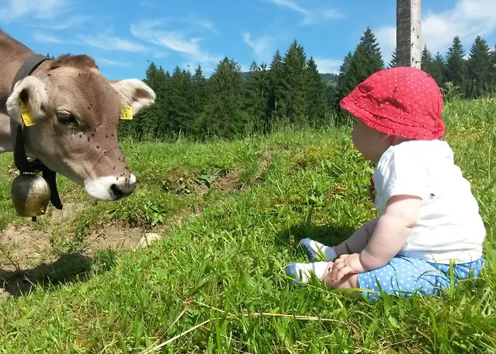 Bed and Breakfast Duerlinde 3*