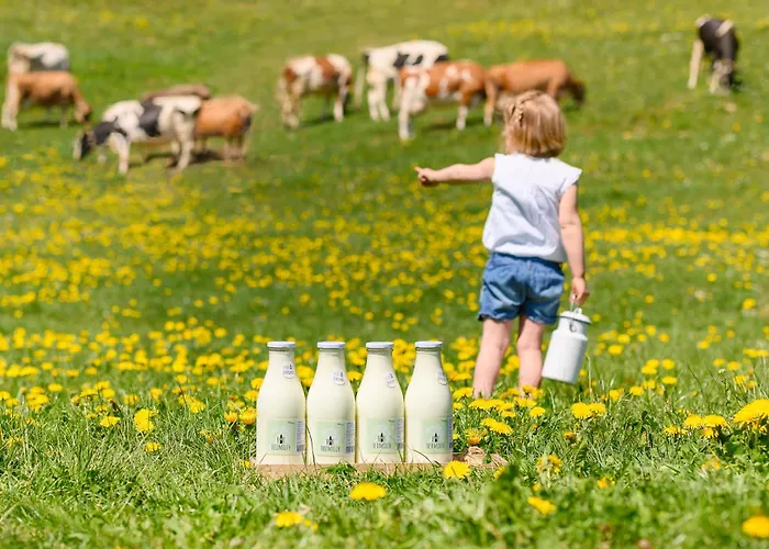 Bed and Breakfast Duerlinde Hittisau