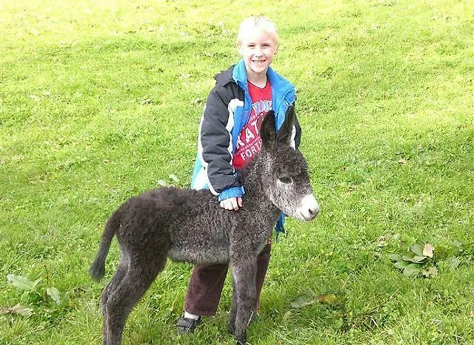 Duerlinde Bed and Breakfast