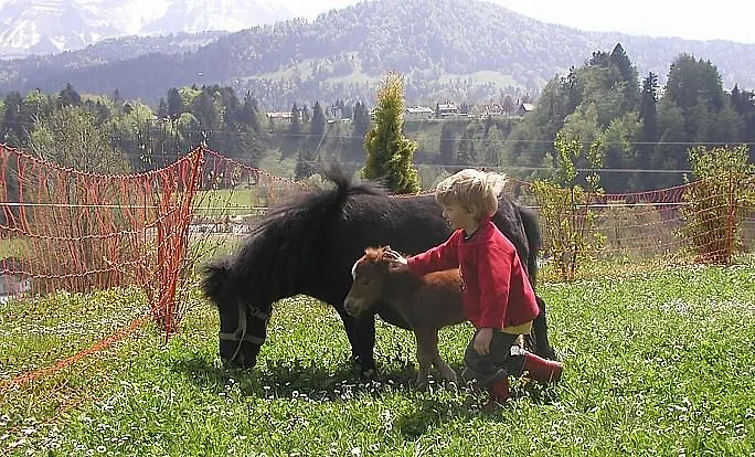 Duerlinde 3* Hittisau